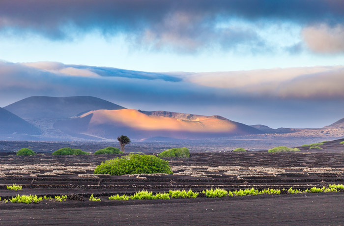 Lanzarote 700